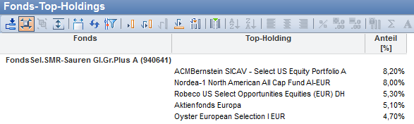 PM_fund_top_holdings_DE.png