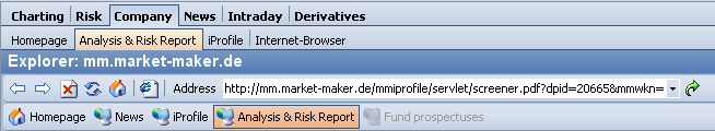 PM_worksheet_analysis_and_risk_report_EN.png