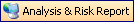 button_analysis_and_risk_reports_DE.png