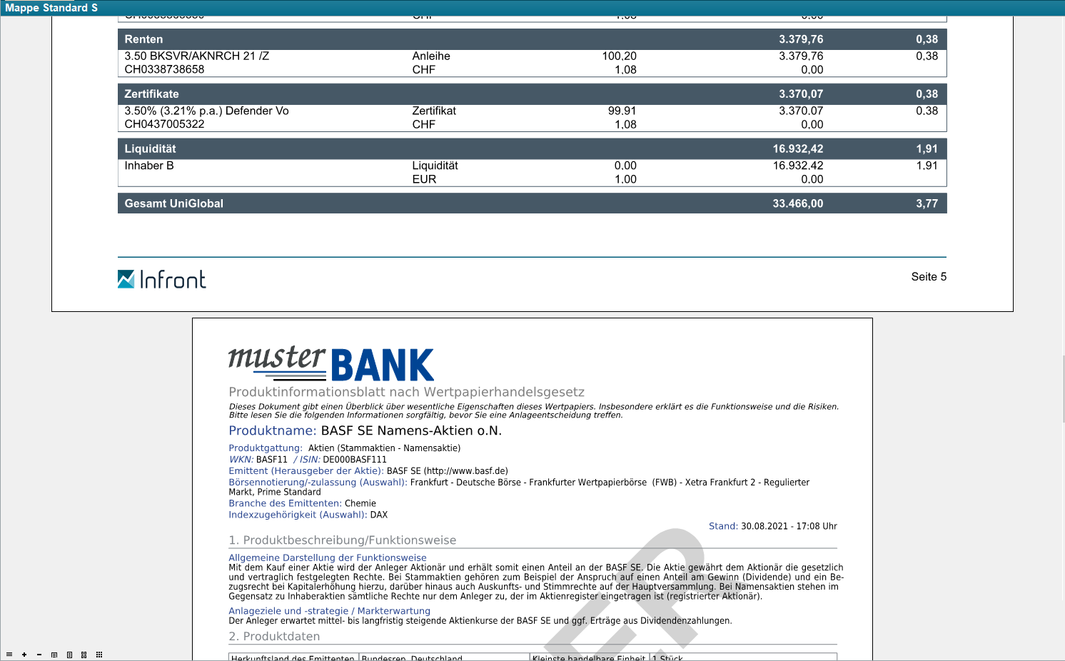 standard_report_folder_PDF_654_DE.png