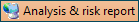 button_analysis_and_risk_reports_EN.png