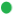 green_bullett_EN.png
