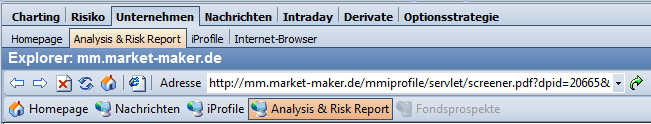 PM_worksheet_analysis_and_risk_report_DE.png